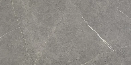 Керамогранит Northon Grey Mt (120x280) Rect. 6мм 3ACONORODDPA