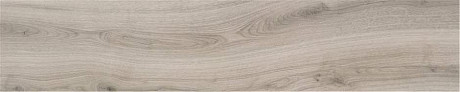 Керамогранит Grey Rect. (22.7x119.5) 418