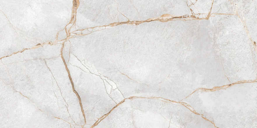 Керамогранит Special Marmo Gray (60x120) 60120PEC15P 60120PEC15P