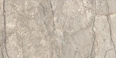 Anima Futura Amazing Silver 60x120x0,9 SIGN Matt Rt