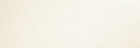 Настенная плитка Rev.Essentia Crusty White Ret (35x100)