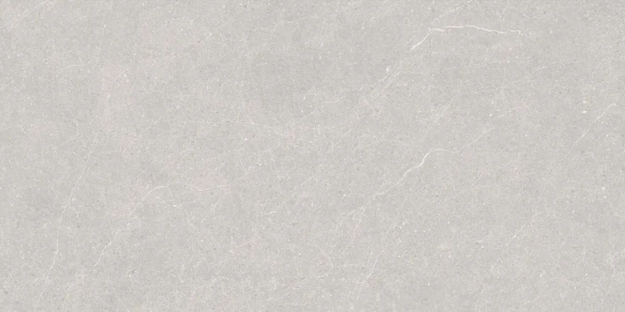 Керамогранит Elenta Ash Carving 60x120