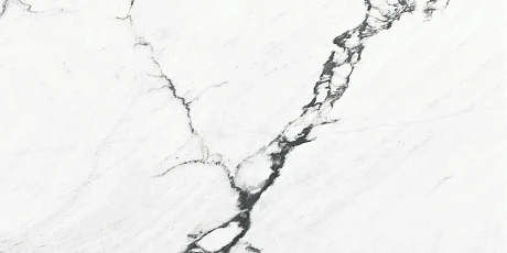 Calacatta Black Polished Rect (60x120)