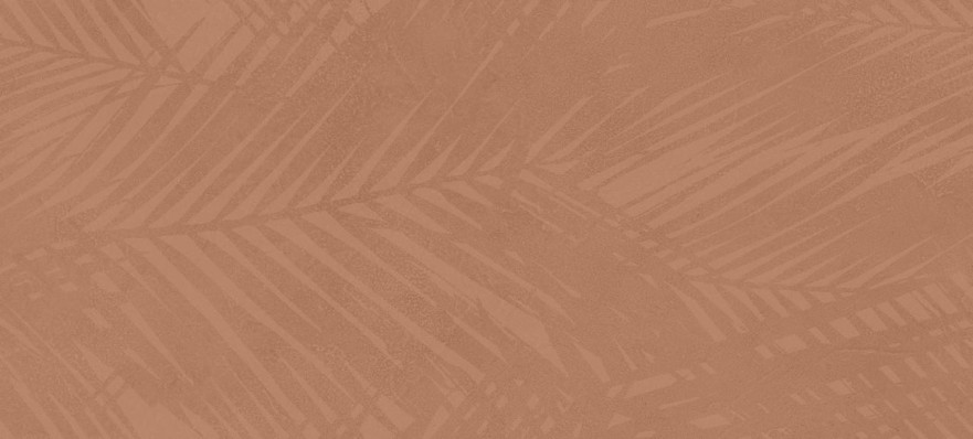 Boost Expression Life Sienna AZ6B AZ6B