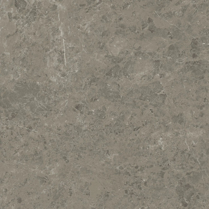 Керамогранит Marvel Meraviglia Grigio Elegante Velvet AJIL (120x120) AJIL AJIL