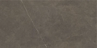 Керамогранит Northon Taupe (60x120) Pulido CAS1NOROEPHA