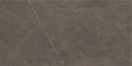 Керамогранит Northon Taupe (60x120) Pulido CAS1NOROEPHA