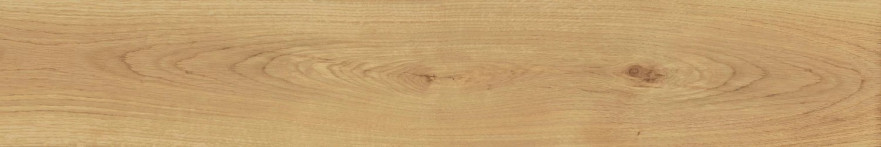Керамогранит Exence Almond (20x120) AO48 AO48