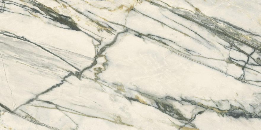 Керамогранит 0009069 Supreme Treasure Calacatta Emerald Nat Ret (60x120) 0009069