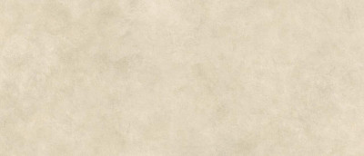 Boost Expression Camel 120x278 - 6mm AYSI