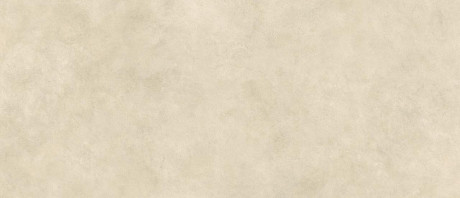 Boost Expression Camel 120x278 - 6mm AYSI