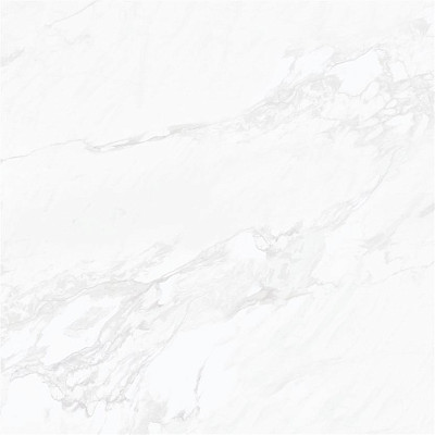 Calacatta 431 100x100