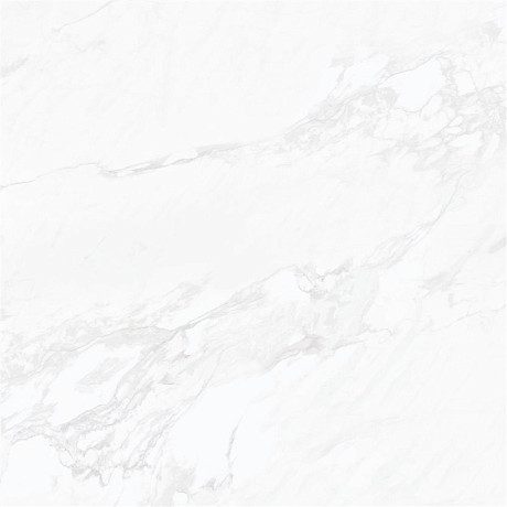 Calacatta 431 100x100