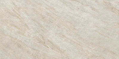 Керамогранит Oyster Grey Ret 60х120