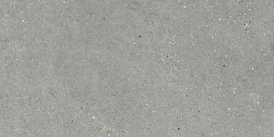 Керамогранит Mitica Gris (60x120) Rec. 44MI39R