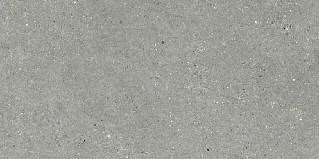 Керамогранит Mitica Gris (60x120) Rec. 44MI39R