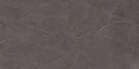 Precious Brown Silk 160x320 AKGB