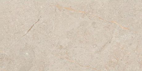 Керамогранит Pearl Glossy111.11R.1111 (60x120)
