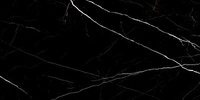 Керамогранит Twinstone Black 60120TWN99HG (60x120)