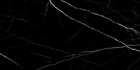 Керамогранит Twinstone Black 60120TWN99HG (60x120)