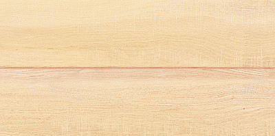 Плитка настенная Briole Wood (24.9x50) WT9BRE11