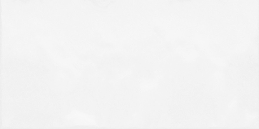 Плитка настенная Monocolor (24.9x50) TWU09MNR030 TWU09MNR030