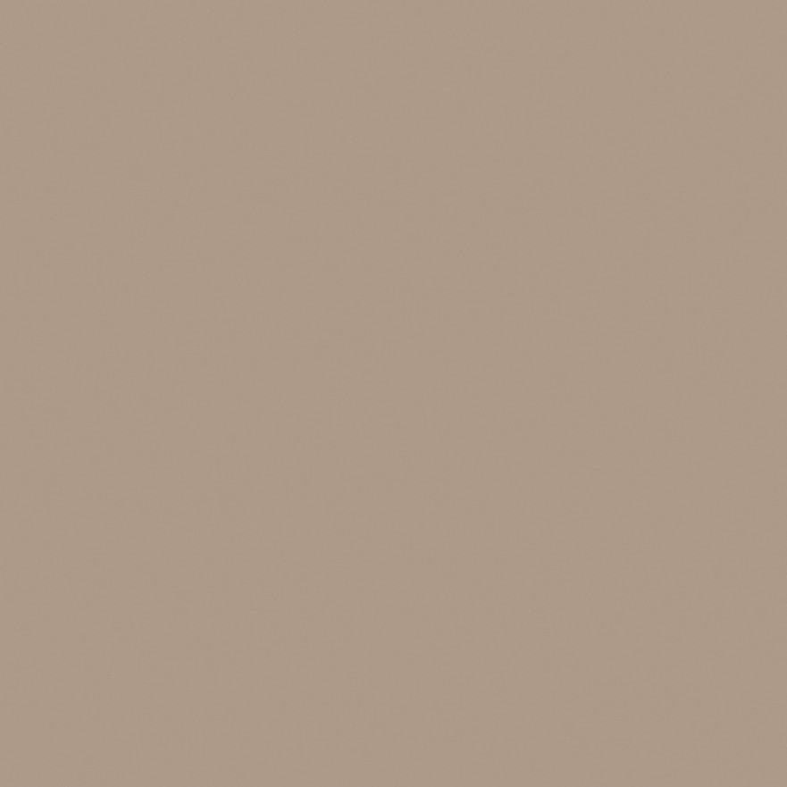 Керамогранит RW041 непол. рект. (60x60) RW 041