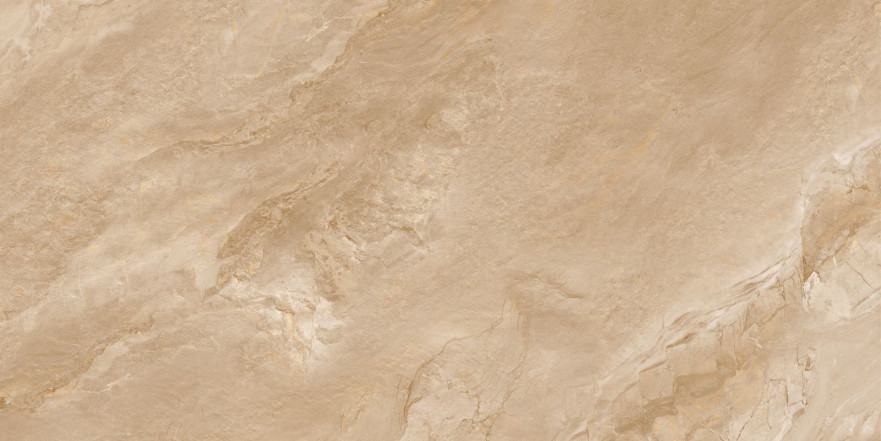 Керамогранит Argenta Bronze (60x120) 60120RGE31M 60120RGE31M