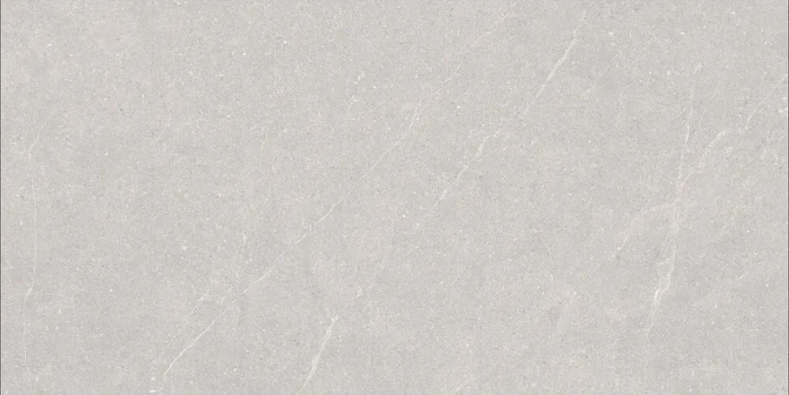 Керамогранит Elenta Ash Carving 60x120