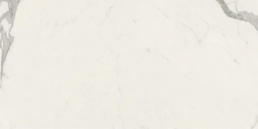 Керамогранит Anima Futura Majestic White Matt (60х120)