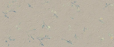 Керамическая плитка True Color Wind Flower 50x120 RT