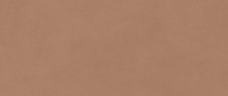 Boost Expression Sienna 50x120 AYR9