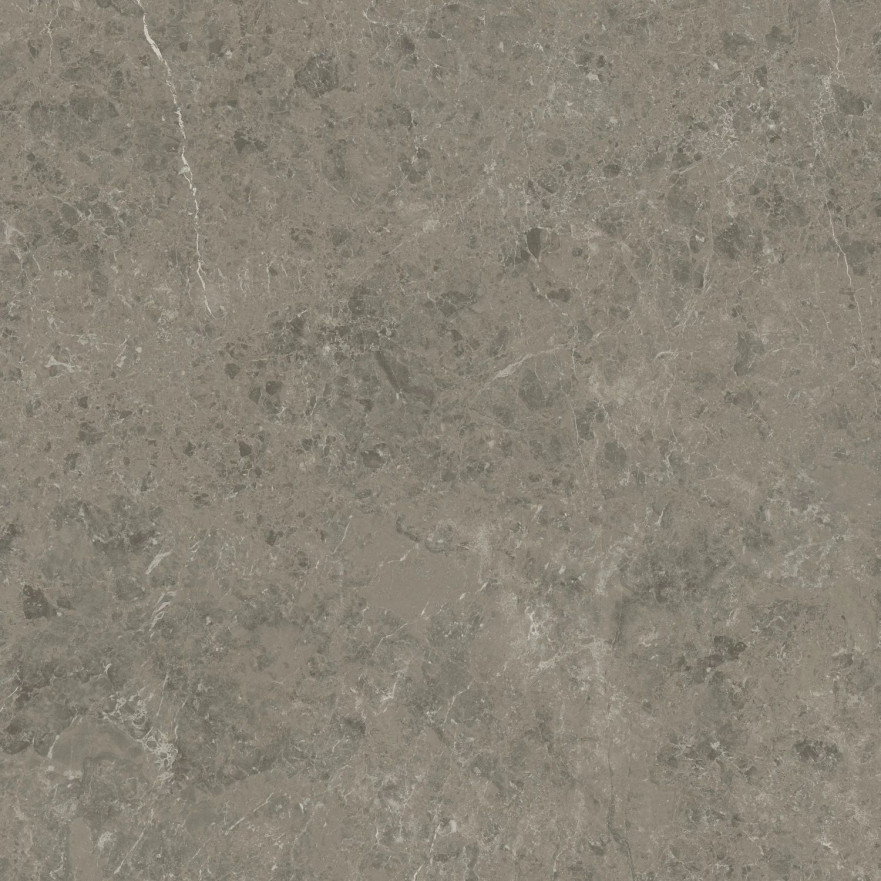 Керамогранит Marvel Meraviglia Grigio Elegante Velvet AJIL (120x120) AJIL AJIL