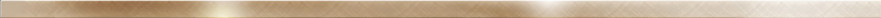 Бордюр Metallic Glossy Gold (1.2x60) BWM61MET808 BWM61MET808