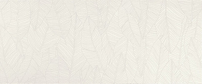 Керамическая плитка Aplomb White Leaf 50x120