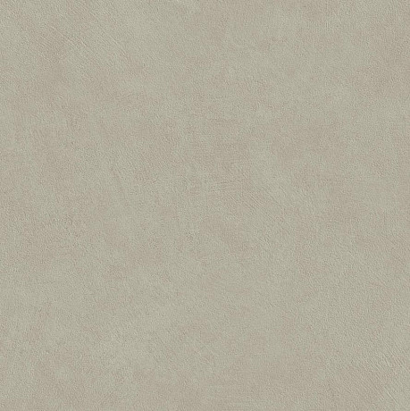 Boost Natural Pro Dove 60x60 AQ9Y