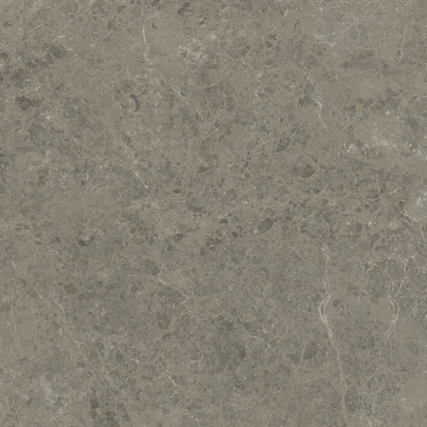 Керамогранит Marvel Meraviglia Grigio Elegante Velvet AJIL (120x120) AJIL AJIL