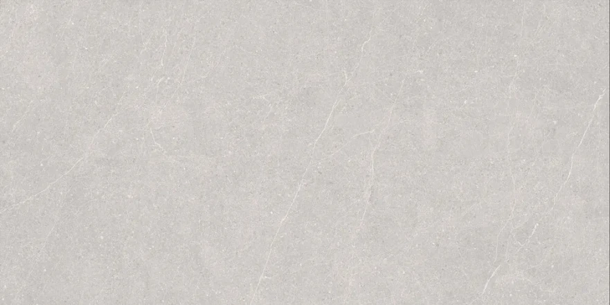 Керамогранит Elenta Ash Carving 60x120