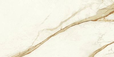 Marvel Calacatta Imperiale 60x120 Matt A4QZ