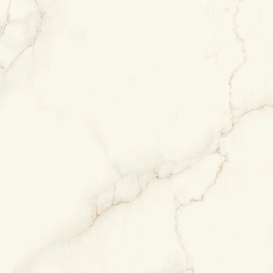 Marvel Calacatta Apuano120x120 Silk AFVJ AFVJ