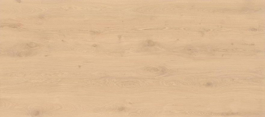 Log Bright Oak 120x278 - 6mm AX28 AX28