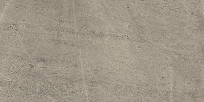 Керамогранит Wise Silver Grey Ret 610010001407 (60x120)