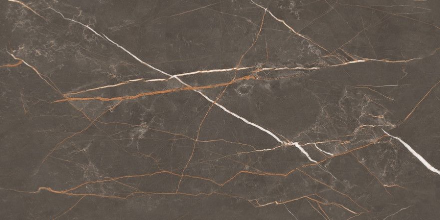 Керамогранит Letina Brown Tm (80x160) N20498 N20498