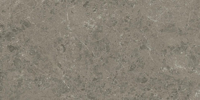 Marvel Meraviglia Grigio Elegante 60x120 Lapp.- 6mm AKHO