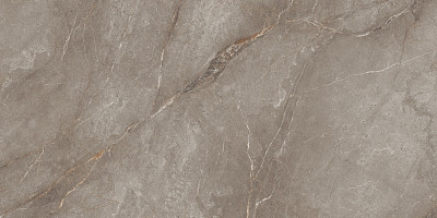 Керамогранит Orobico Brown Polished (60x120) N20483