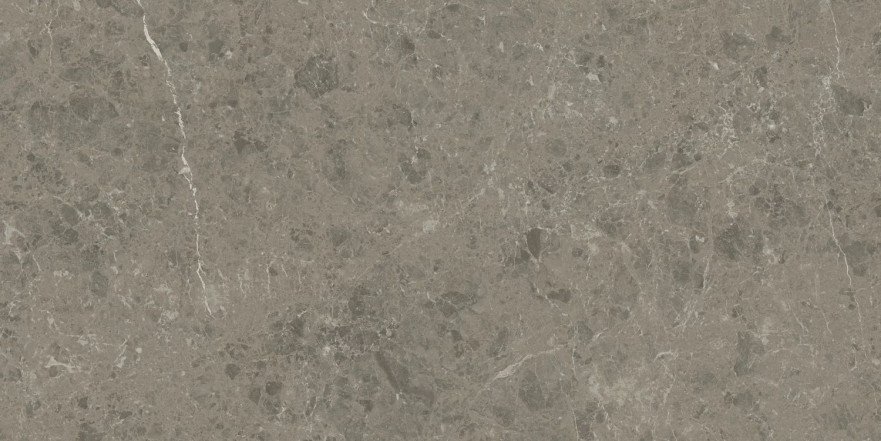 Керамогранит Marvel Meraviglia Grigio Elegante AJIU (60x120) AJIU