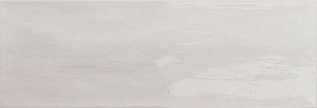 Керамическая плитка Arlette Gris 21.4х61