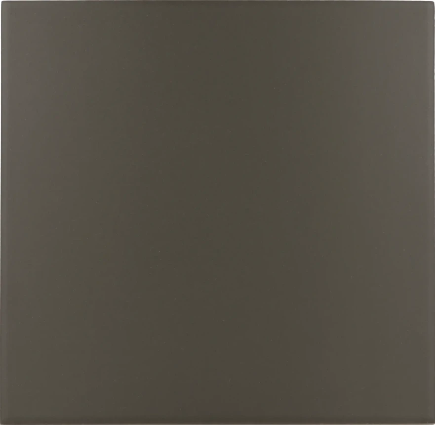Керамогранит Rivoli Black 20x20x0,83 30720