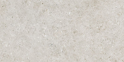 Керамогранит Beren Light Grey Natural 60x120