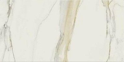 Керамогранит Cal.Gold Chain B Glossy (120x240) 750677
